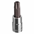 BOXO 1/4" Tamperproof Torx Bit Sockets - Sizes T8 to T40